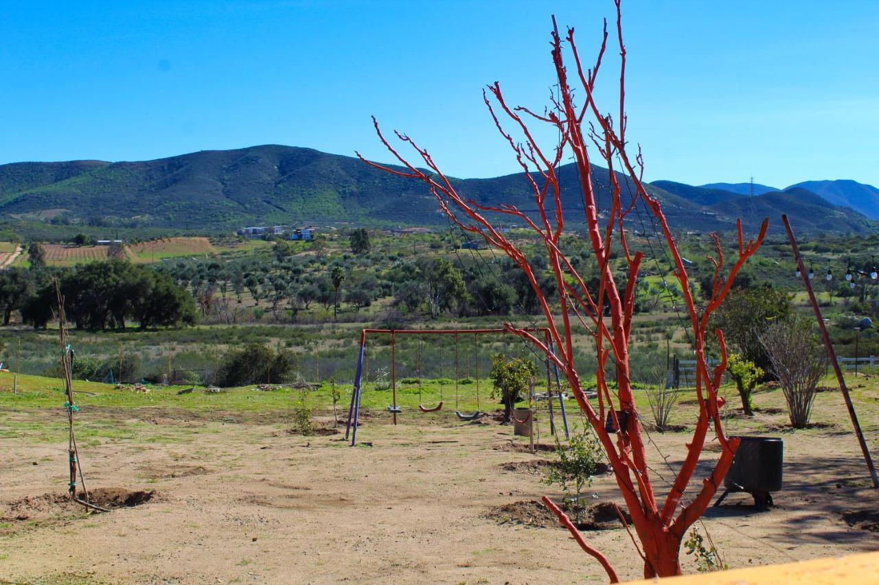Rancho Matalote En Valle De Guadalupe Exterior foto