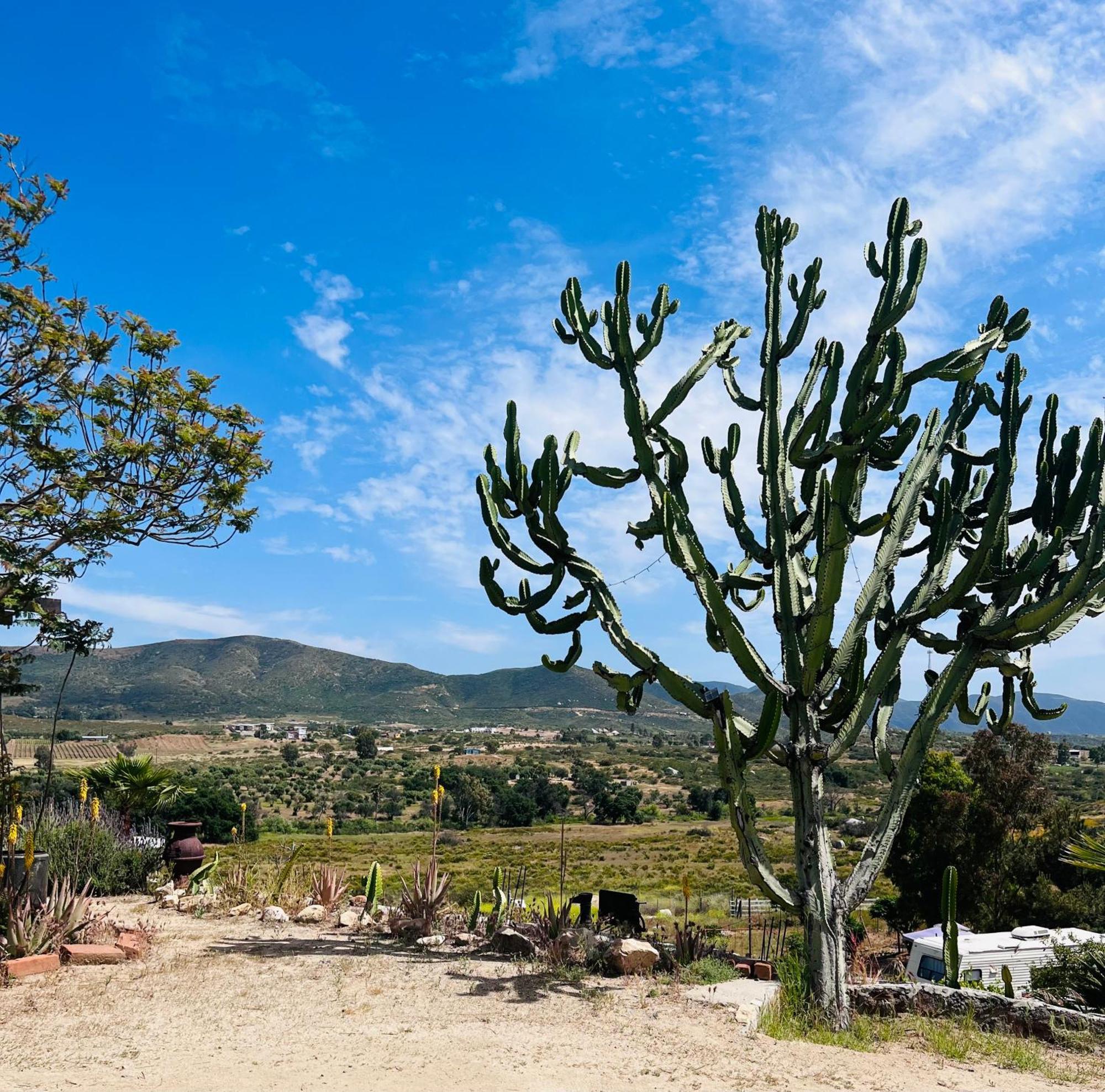 Rancho Matalote En Valle De Guadalupe Exterior foto